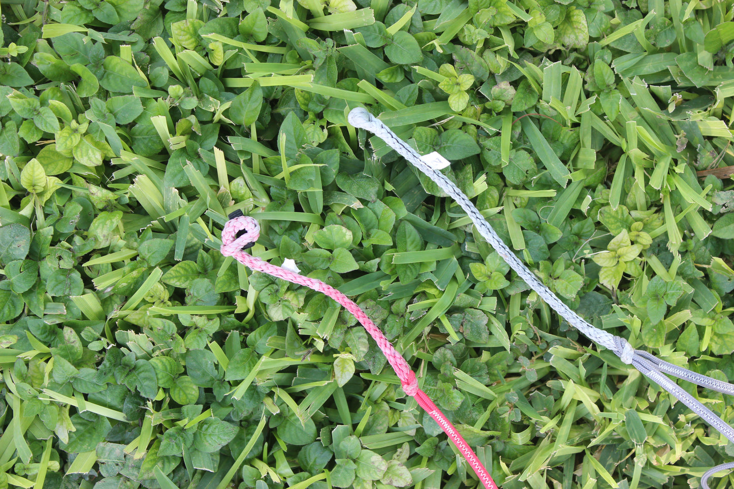 OZONE CATALYST 8M 2012 - USED
