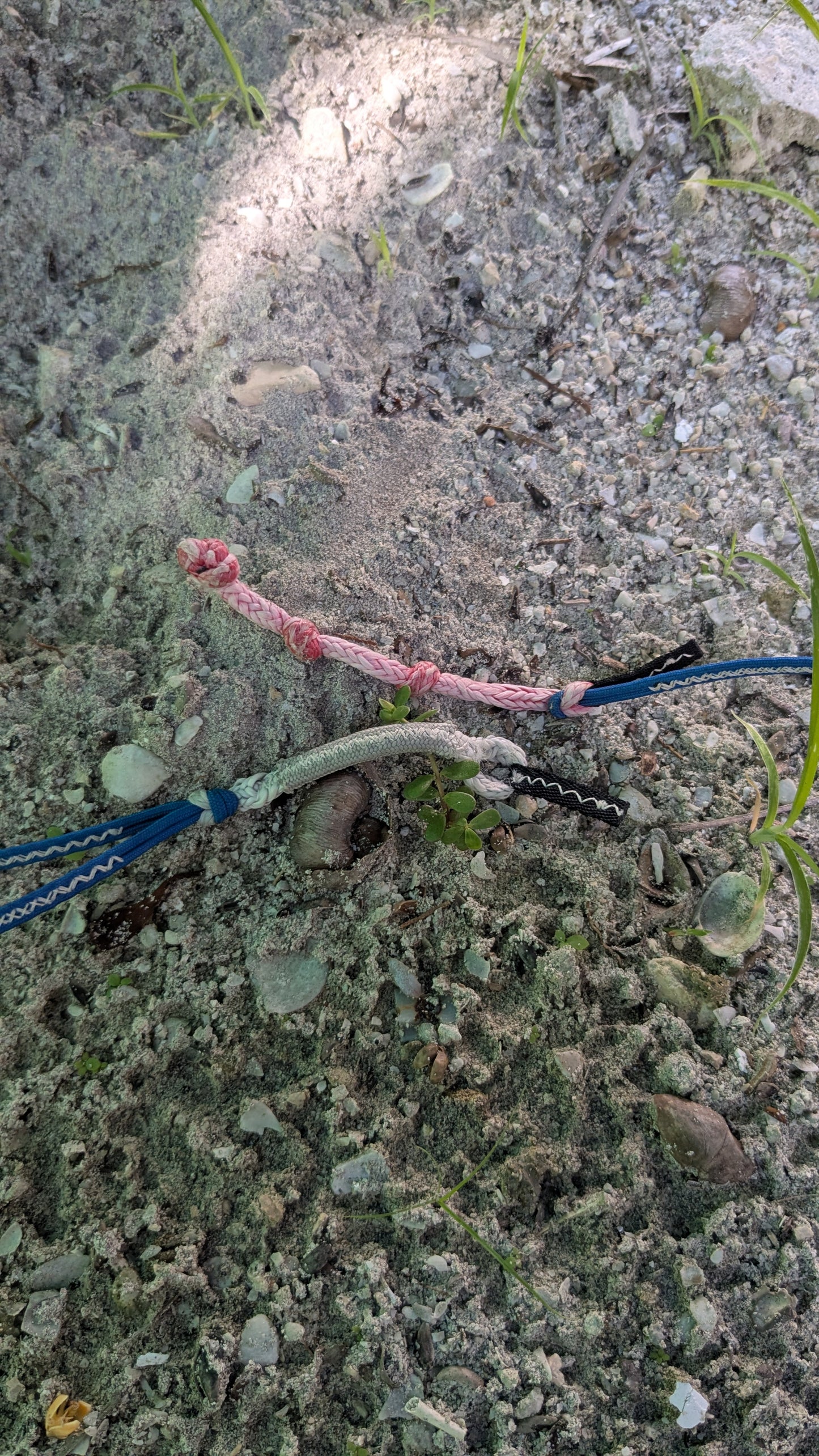 SLINGSHOT RAPTOR V1 12M 2020 - USADO