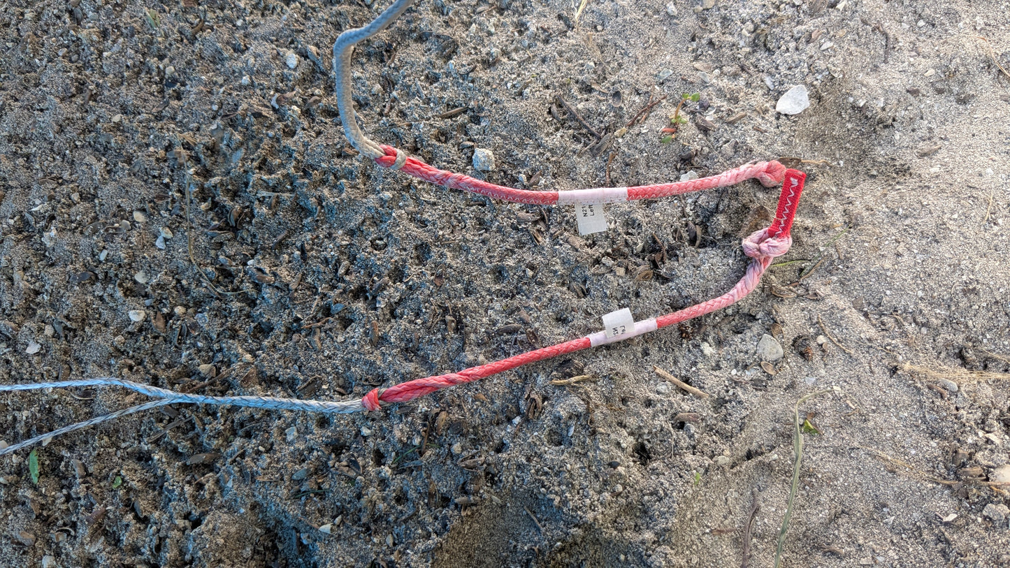 NORTH REACH 10M 2021 - USADO